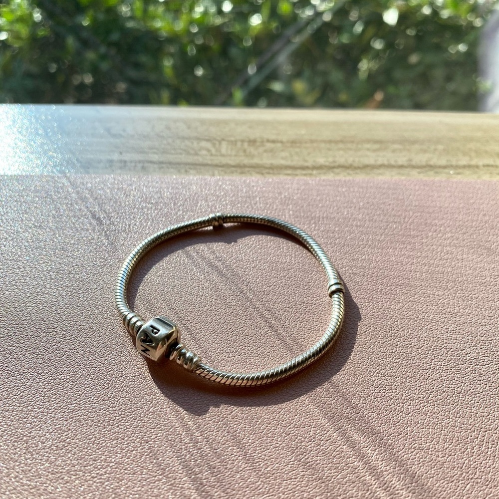 Pandora Chainlink Bracelet